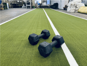 BayTurf South Tampa Gym